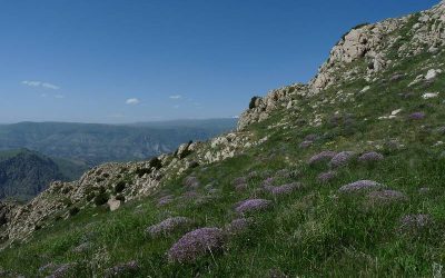 Landscapes4 Landscapes4