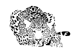 5493-269x180