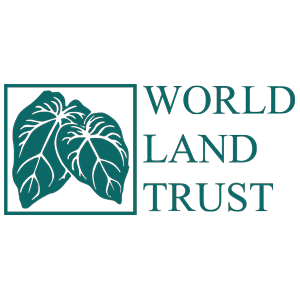 WLT